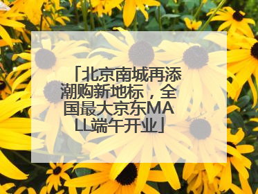 北京南城再添潮购新地标，全国最大京东MALL端午开业