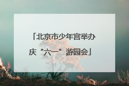 北京市少年宫举办庆“六一”游园会