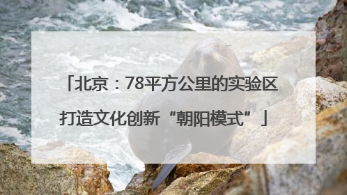 北京：78平方公里的实验区打造文化创新“朝阳模式”