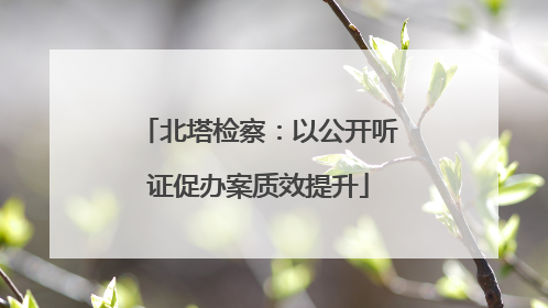 北塔检察：以公开听证促办案质效提升