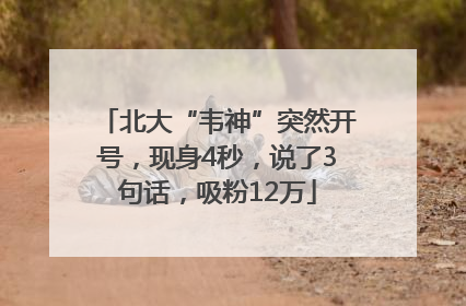 北大“韦神”突然开号，现身4秒，说了3句话，吸粉12万