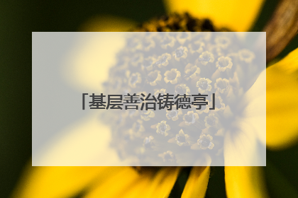 基层善治铸德亭