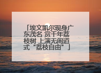 埃文凯尔现身广东茂名 赏千年荔枝树 上演无间道式“荔枝自由”