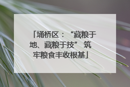 埇桥区：“藏粮于地、藏粮于技” 筑牢粮食丰收根基
