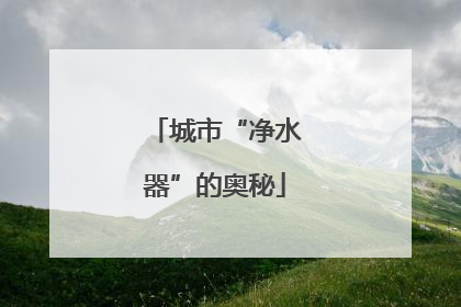 城市“净水器”的奥秘