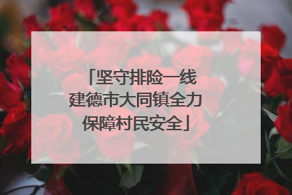 坚守排险一线 建德市大同镇全力保障村民安全