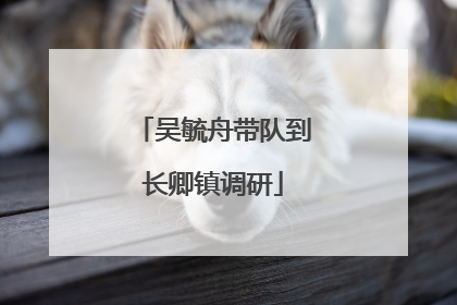 吴毓舟带队到长卿镇调研