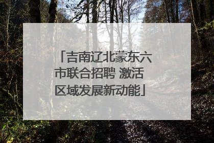 吉南辽北蒙东六市联合招聘 激活区域发展新动能