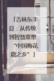 吉林东丰县：从传统到智慧重塑“中国梅花鹿之乡”