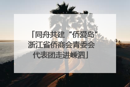 同舟共建“侨爱岛” 浙江省侨商会青委会代表团走进嵊泗