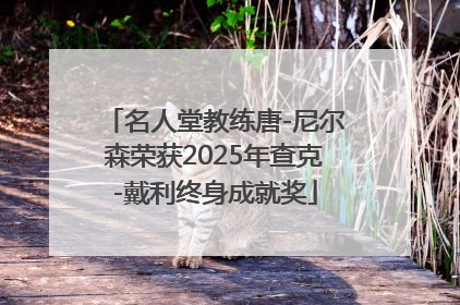 名人堂教练唐-尼尔森荣获2025年查克-戴利终身成就奖