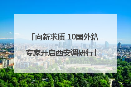 向新求质 10国外籍专家开启西安调研行