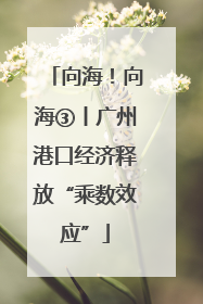 向海！向海③丨广州港口经济释放“乘数效应”
