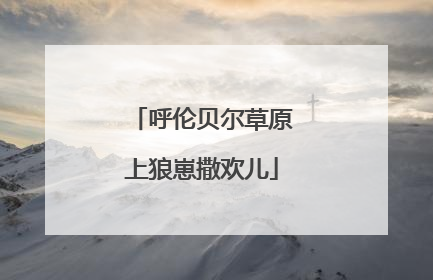 呼伦贝尔草原上狼崽撒欢儿