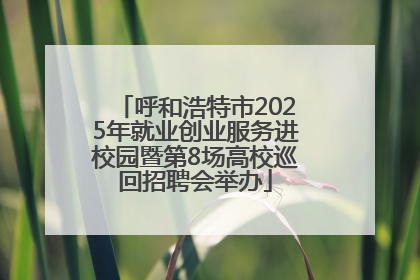 呼和浩特市2025年就业创业服务进校园暨第8场高校巡回招聘会举办