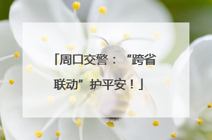 周口交警：“跨省联动”护平安！