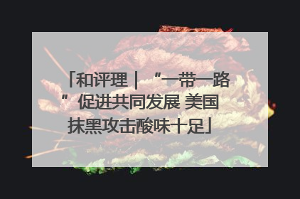 和评理｜“一带一路”促进共同发展 美国抹黑攻击酸味十足