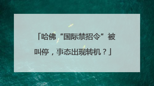 哈佛“国际禁招令”被叫停，事态出现转机？