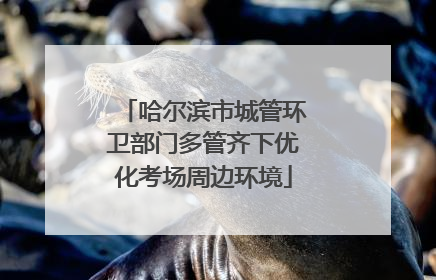 哈尔滨市城管环卫部门多管齐下优化考场周边环境