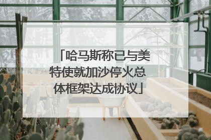 哈马斯称已与美特使就加沙停火总体框架达成协议