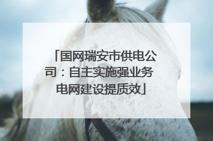 国网瑞安市供电公司：自主实施强业务 电网建设提质效