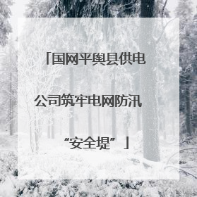 国网平舆县供电公司筑牢电网防汛“安全堤”
