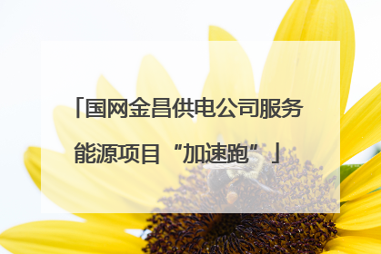国网金昌供电公司服务能源项目“加速跑”