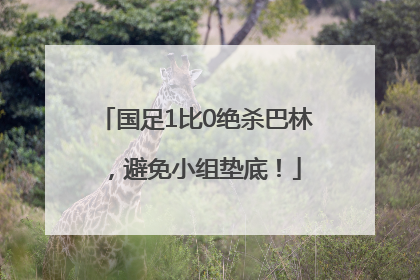 国足1比0绝杀巴林，避免小组垫底！