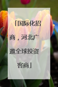 国际化招商，河北广邀全球投资客商