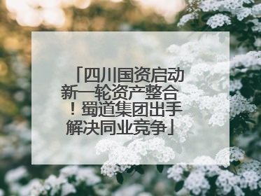 四川国资启动新一轮资产整合！蜀道集团出手解决同业竞争