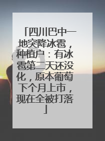 四川巴中一地突降冰雹，种植户：有冰雹第二天还没化，原本葡萄下个月上市，现在全被打落