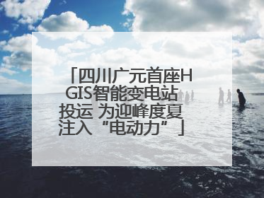 四川广元首座HGIS智能变电站投运 为迎峰度夏注入“电动力”