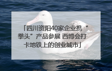 四川资阳40家企业携“拳头”产品参展 西博会打卡地铁上的创业城市