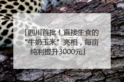四川首批！直接生食的“牛奶玉米”亮相，每亩纯利提升3000元