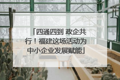 四通四到 政企共行！福建这场活动为中小企业发展赋能
