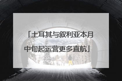 土耳其与叙利亚本月中旬起运营更多直航