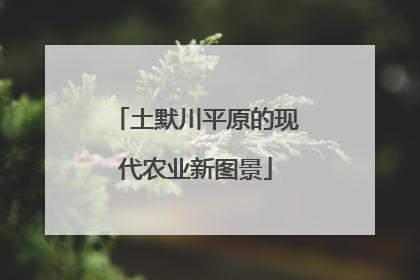 土默川平原的现代农业新图景