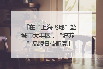 在“上海飞地”盐城市大丰区，“沪苏”品牌日益响亮