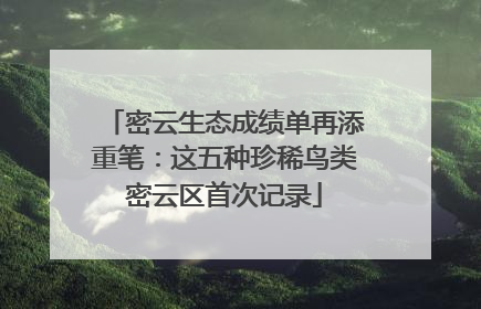 密云生态成绩单再添重笔：这五种珍稀鸟类密云区首次记录