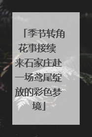季节转角花事接续 来石家庄赴一场鸢尾绽放的彩色梦境