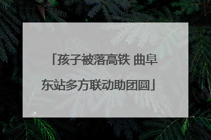 孩子被落高铁 曲阜东站多方联动助团圆