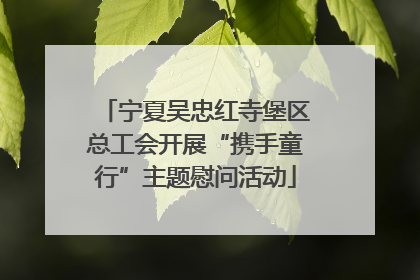 宁夏吴忠红寺堡区总工会开展“携手童行”主题慰问活动