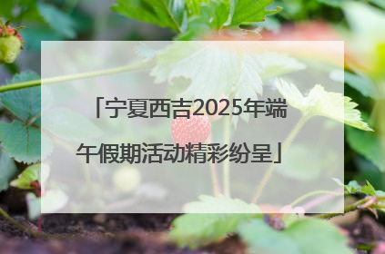 宁夏西吉2025年端午假期活动精彩纷呈