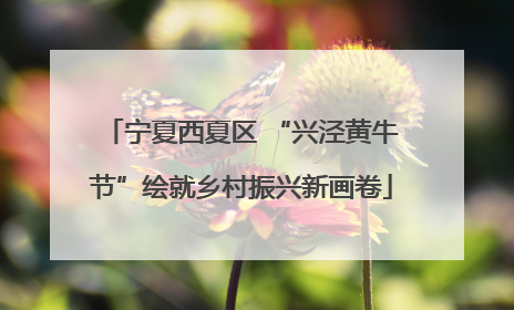 宁夏西夏区 “兴泾黄牛节”绘就乡村振兴新画卷