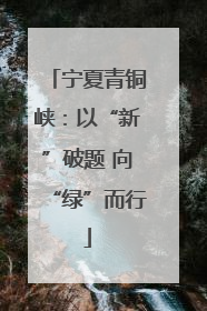 宁夏青铜峡：以“新”破题 向“绿”而行