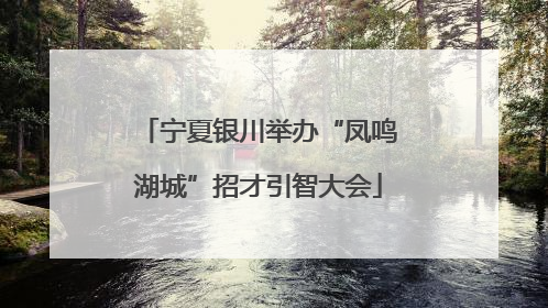 宁夏银川举办“凤鸣湖城”招才引智大会