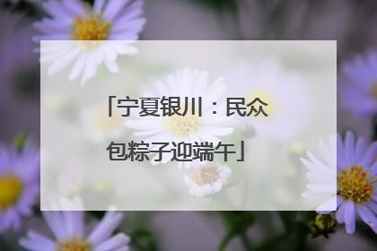 宁夏银川：民众包粽子迎端午