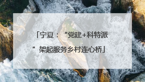 宁夏：“党建+科特派”架起服务乡村连心桥