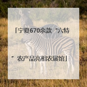 宁夏670余款“六特”农产品亮相农展馆