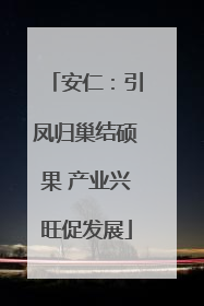 安仁：引凤归巢结硕果 产业兴旺促发展